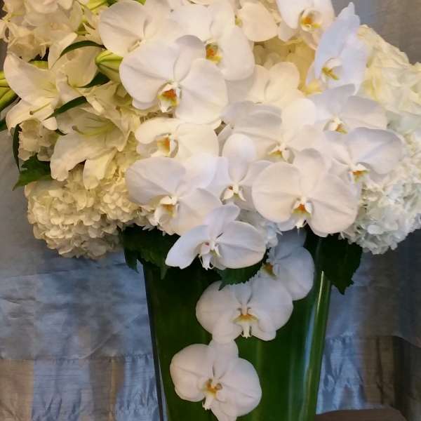 White orchids and hydrangeas arranged in a tall green vase