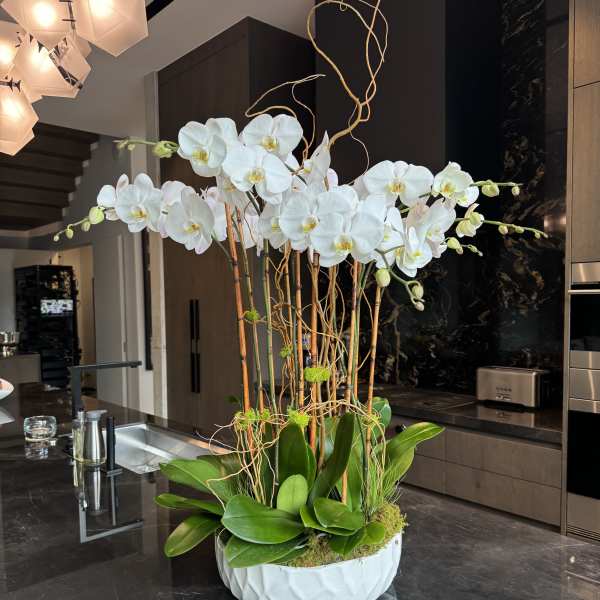 Tall white orchid arrangement in a white bowl-shaped vase