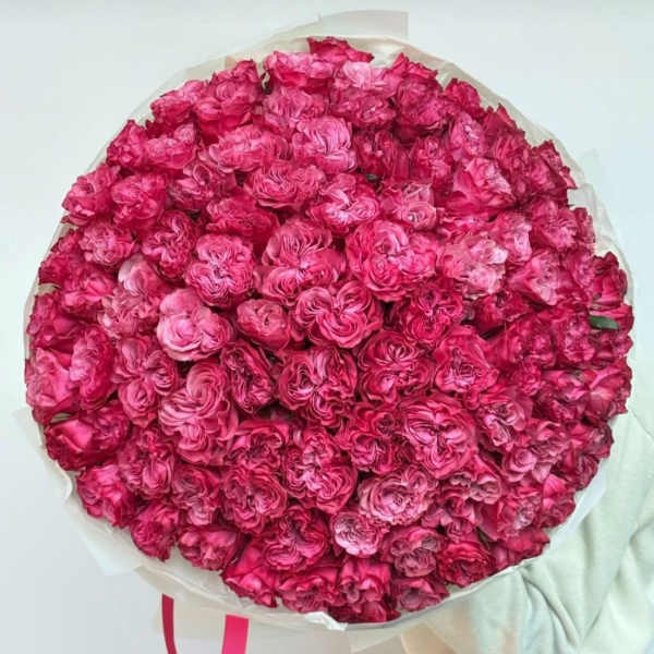 proposal bouquet of 100 pink roses