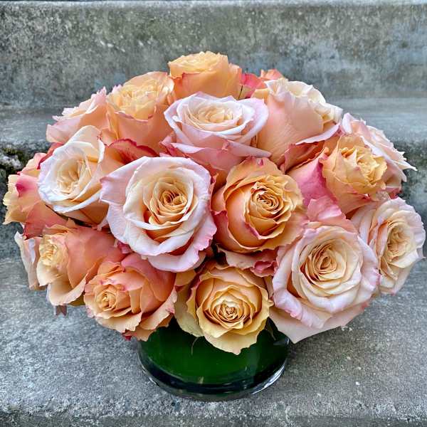 Three Dozen Classic Roses - Designer's Choice Color