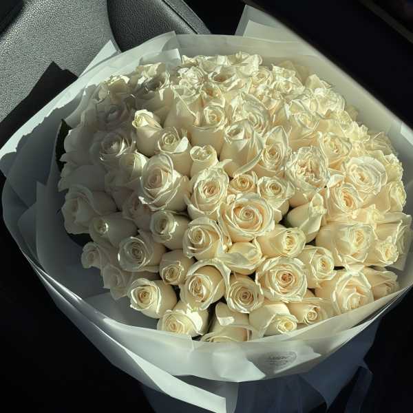 Bouquet of 70 White Roses