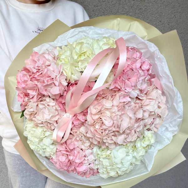 Large bouquet of pink and white hydrangeas with a pink ribbon