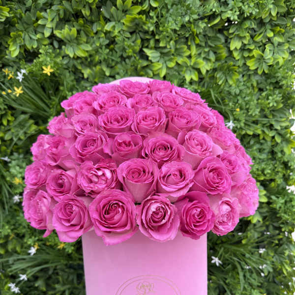 Bright pink roses arranged in a tall pink box