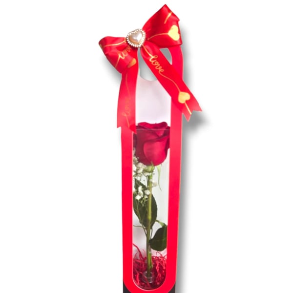 Single red rose in a tall gift box with a red bow