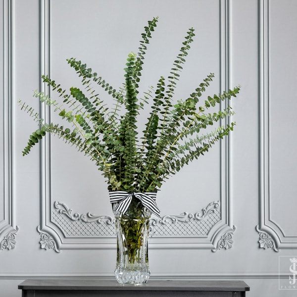 Tall eucalyptus arrangement in a clear glass vase with a striped bow