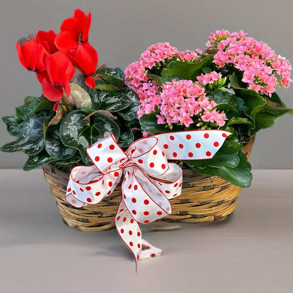 Double Blooming Basket