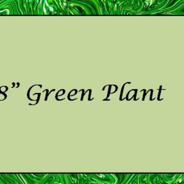 Text reading "8" Green Plant" on a green patterned background