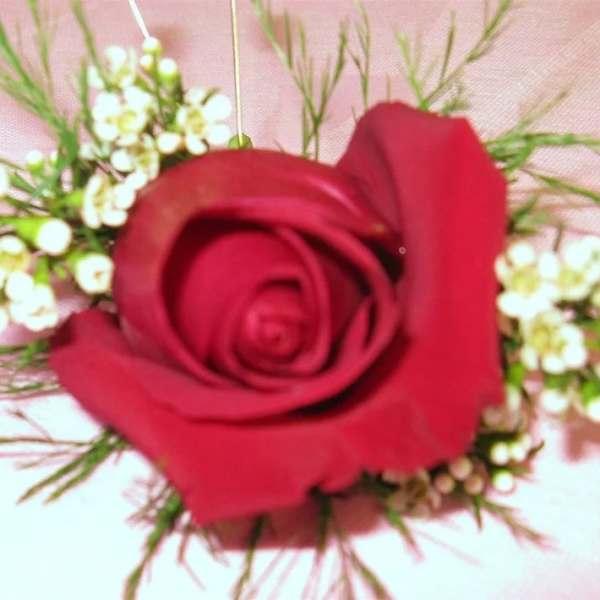 Red rose with small white filler flowers and wispy greenery