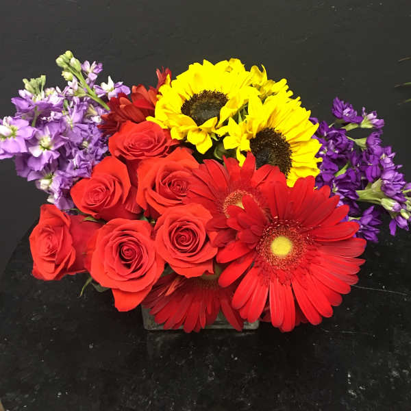 The Bold and Beautiful