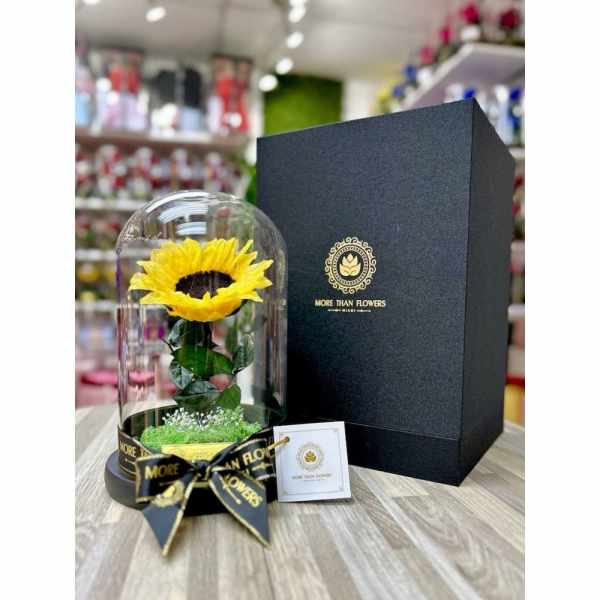 Single sunflower under a glass dome on a black base with ribbon beside a tall black gift box.