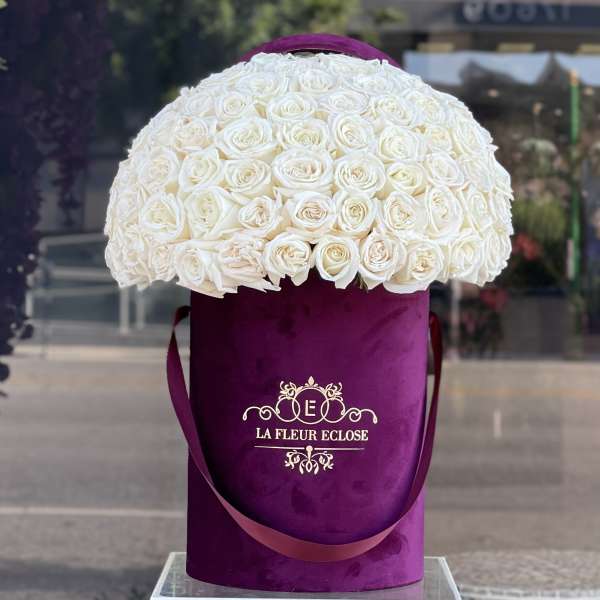 White roses arranged in a dome on a purple velvet hatbox