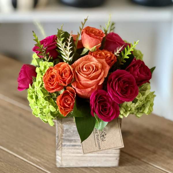 Cheers (Petite) - FB