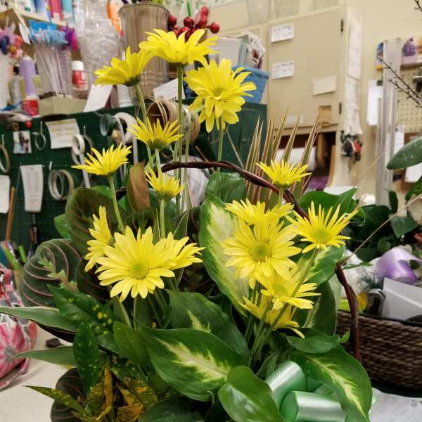 Dish garden with fresh flowers