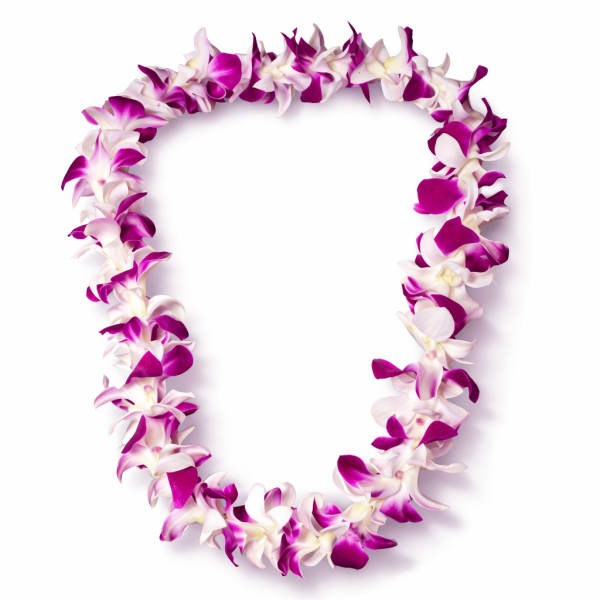 Single orchid lei (purple&white or green&purple)