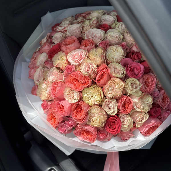 Large round bouquet of cream, peach, and pink roses wrapped in white paper with pink ribbons.