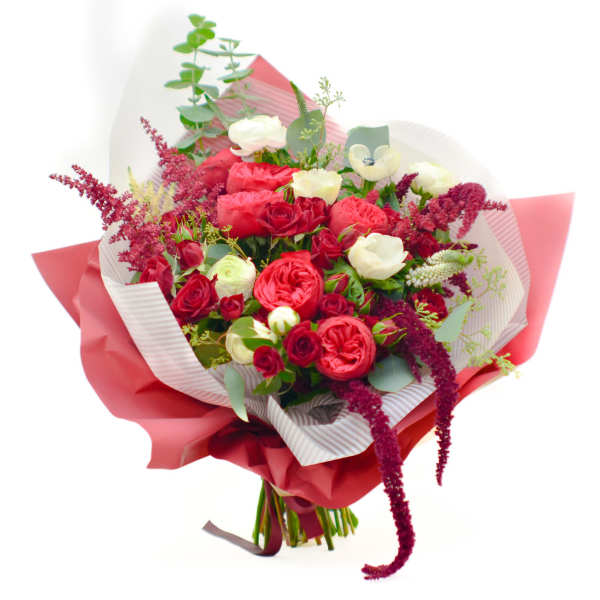 Bouquet of red and white roses wrapped in pink paper