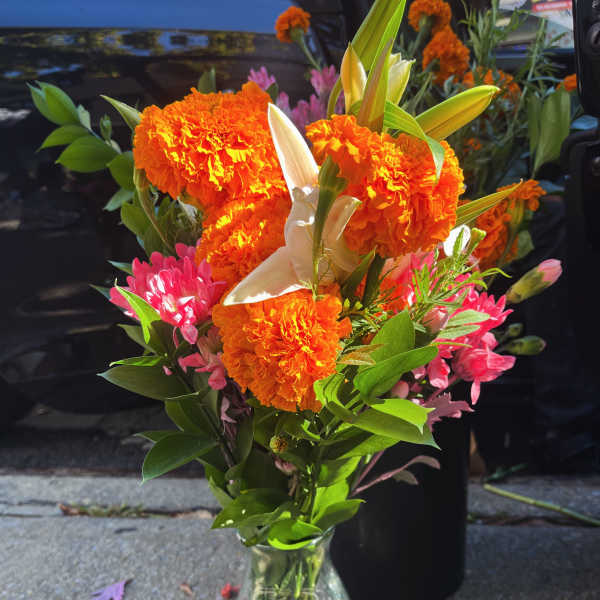 Shine forever bright