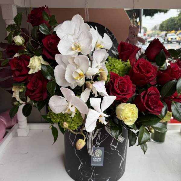 Designed for Elegance