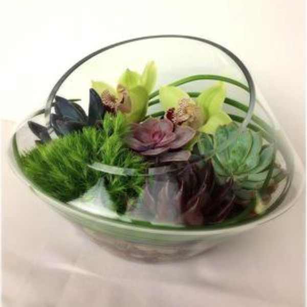 Succulent Water Garden