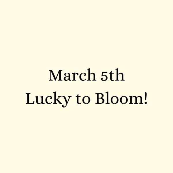 Cream-colored square graphic with the text "March 5th Lucky to Bloom!" in black serif font.