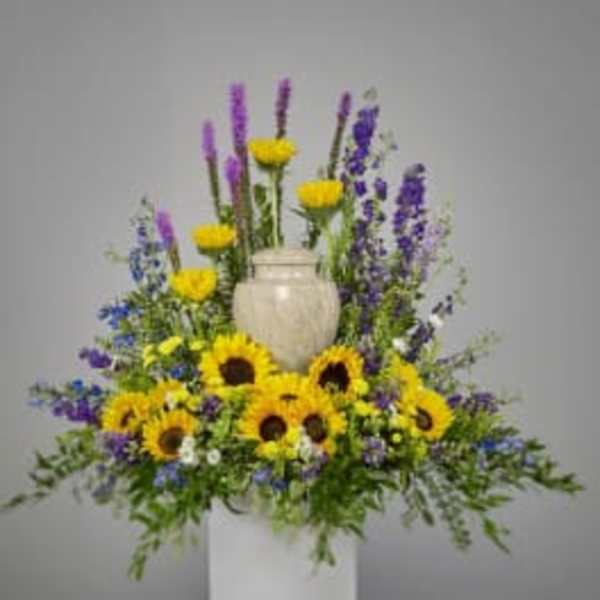 Sunflower Fields Sentiments