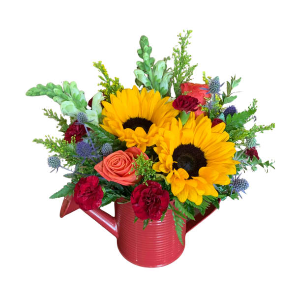 Sunflowers and roses arranged in a red watering can