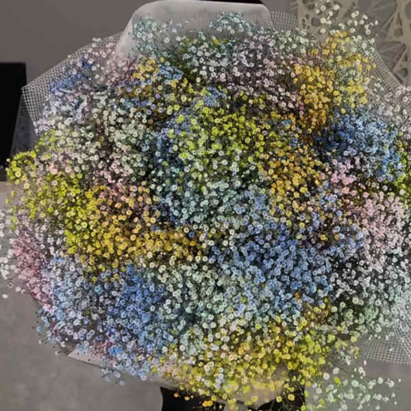 Large bouquet of multicolored baby's breath wrapped in paper