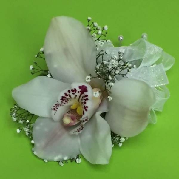 White orchid corsage with baby's breath on a green background
