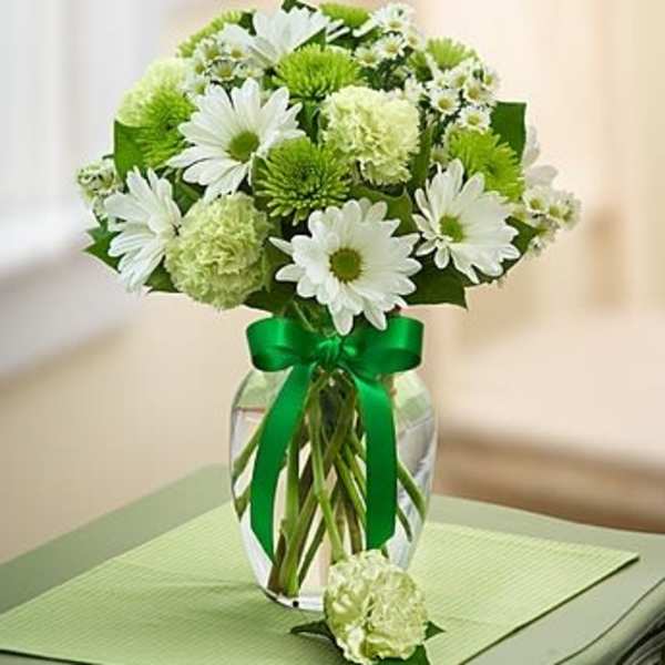 White daisies and green pom flowers in a glass vase with a green ribbon