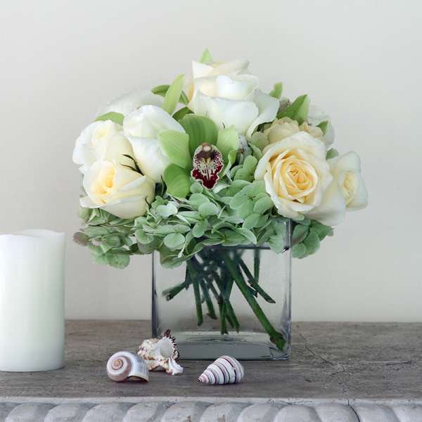 White roses in a square glass vase with green hydrangea and shells