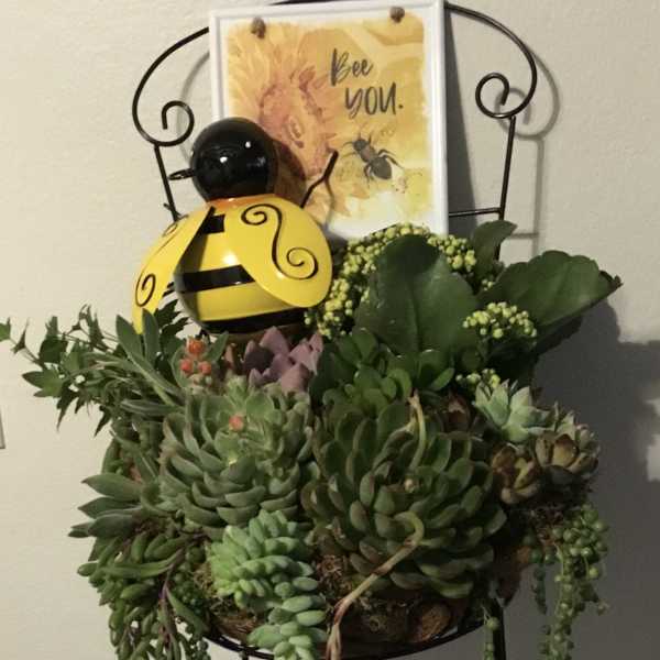 Succulent arrangement in a metal stand with a bee decoration and card