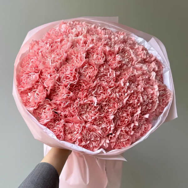 Large bouquet of pink carnations wrapped in pale pink paper