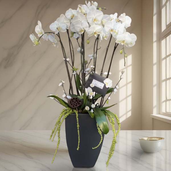 Tall white orchid arrangement in a black vase