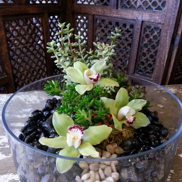 Succulent arrangement with pale green orchids in a glass bowl