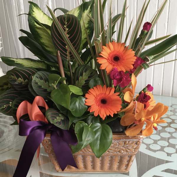 Tropical flower arrangement with orange gerbera daisies in a decorative basket