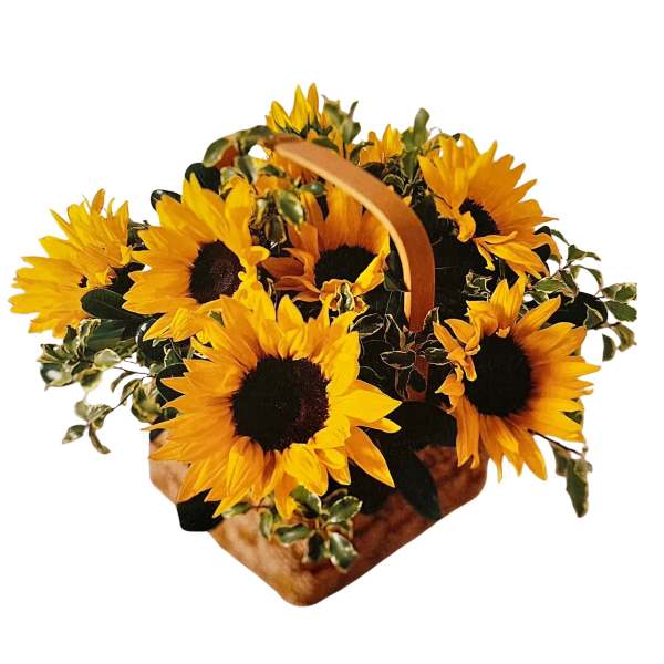 Round Dozen Sunflower Basket