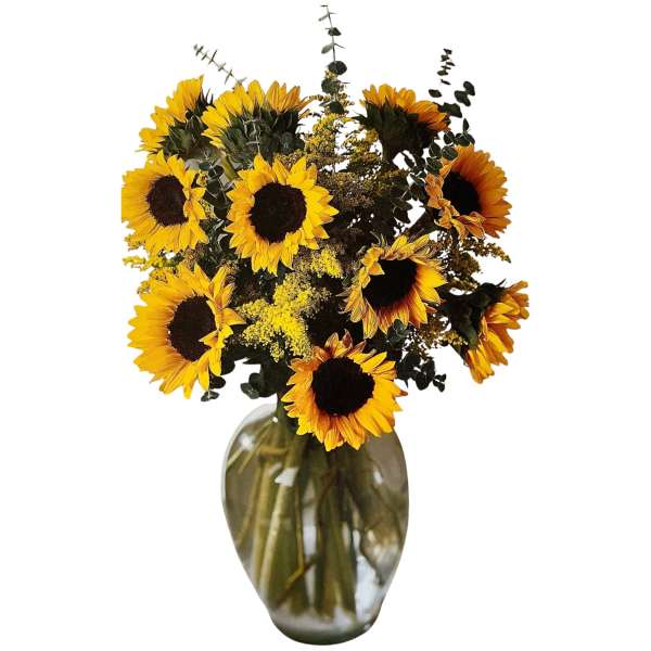 Dozen Sunflower Vase