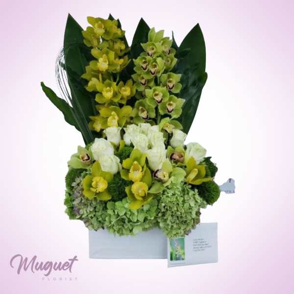 Green and white orchid arrangement in a box