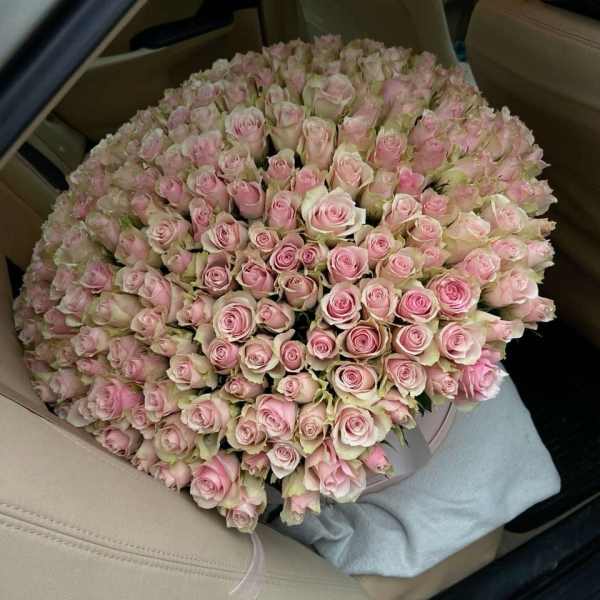 Large bouquet of pale pink roses in a car seat