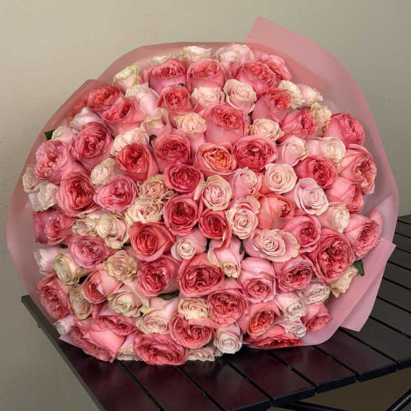 Tenderness That Speaks Without Words