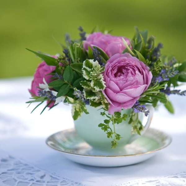 Pink flowers arranged in a teacup on a saucer
