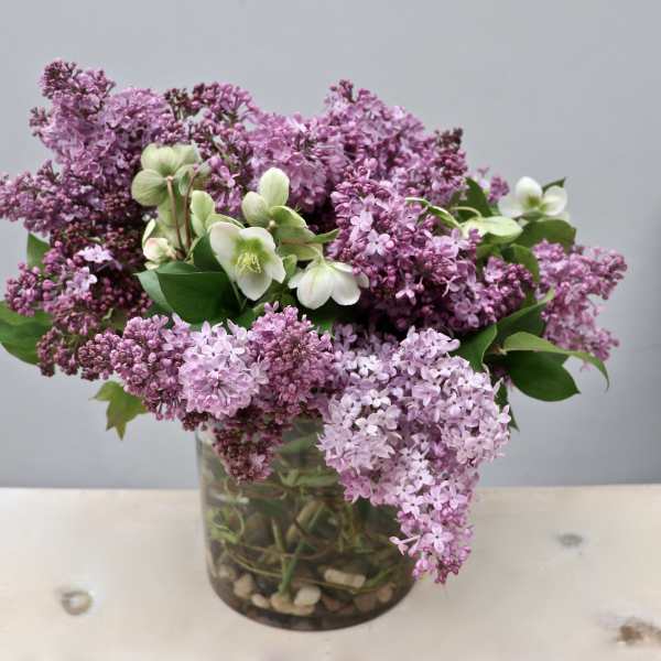 Lavender lilac arrangement with a few white blooms in a clear glass vase with stones