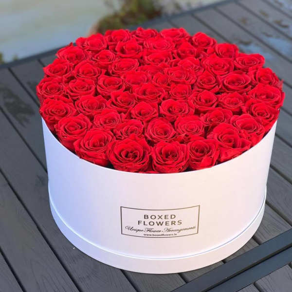 Round box filled with red roses