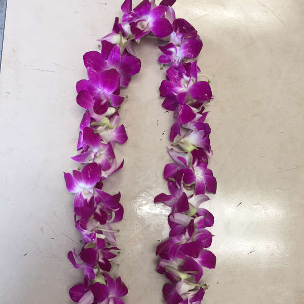 Graduation Lei