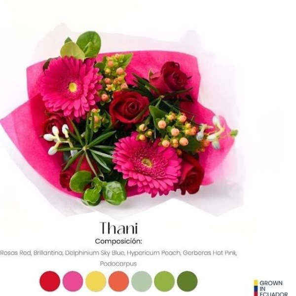 Bouquet of hot pink gerberas and red roses wrapped in bright pink paper