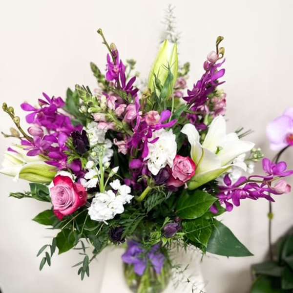 Makara Orchid Majesty