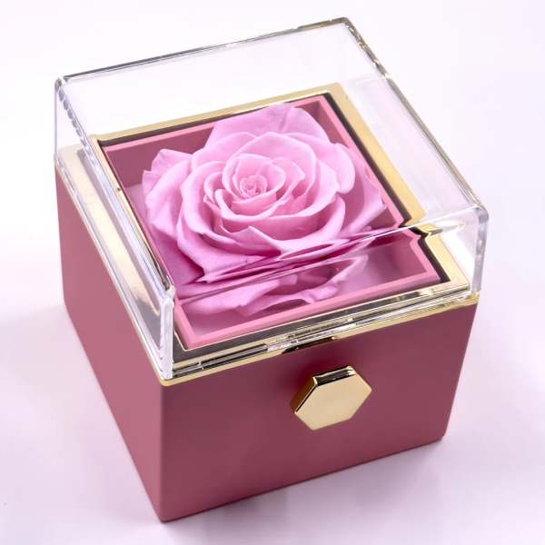 Pink rose in a clear-lidded gift box