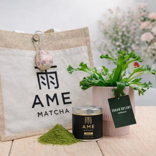 Matcha gift set with tote bag, tin, powder, and potted plant