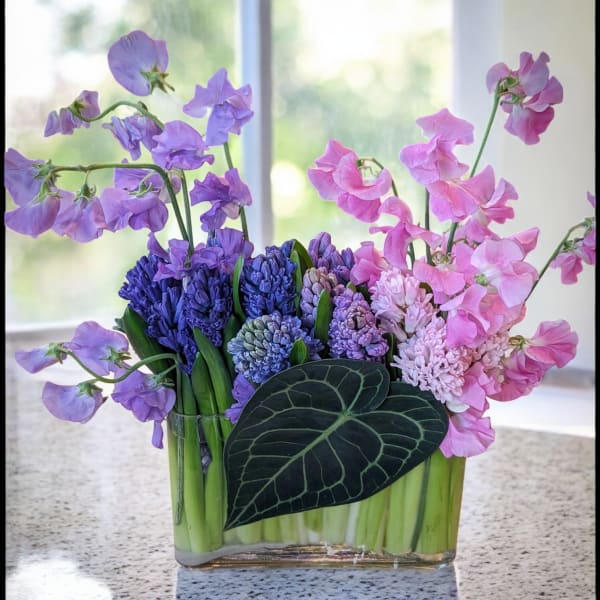 Hyacinth and Sweet Pea Garden