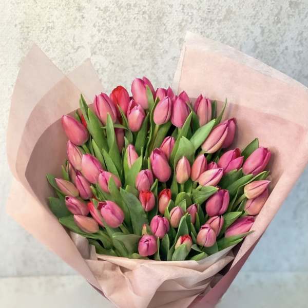 Bouquet of pink tulips wrapped in pale pink paper